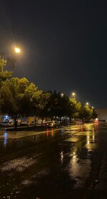 IMG_0087.jpeg