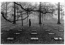 1694335883459.png 1694335883459.png