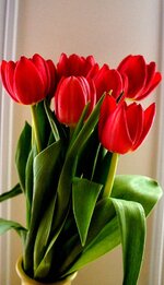 1694346129347.jpeg 1694346129347.jpeg