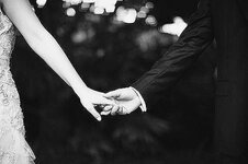 DcytNOLW4AAc2xe.jpg DcytNOLW4AAc2xe.jpg