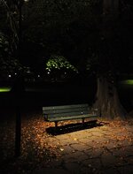 IMG_0235.jpeg