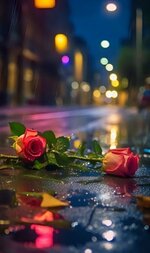 IMG_0232.jpeg