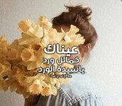 كلام-حلو-عن-الورد.jpg