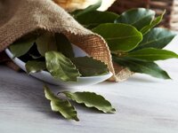 كيفية-عمل-ورق-الغار-1-800x600.jpeg كيفية-عمل-ورق-الغار-1-800x600.jpeg