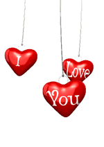 IMG_5826.png
