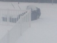 IMG_1537.jpeg
