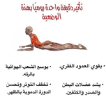 1696119120107.png