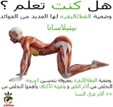1696119224098.png