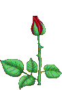 1805953252.gif 1805953252.gif