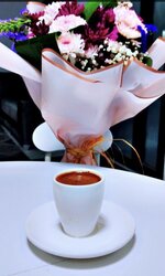 IMG_6035.jpeg IMG_6035.jpeg