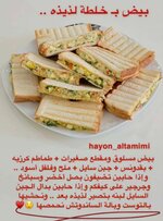 Screenshot_٢٠٢٣١٠٠٤-١٤٥٣٢٤_Samsung Internet.jpg