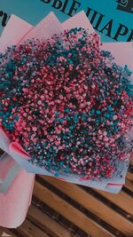 IMG_7478.jpeg