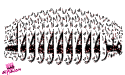 109486.gif 109486.gif