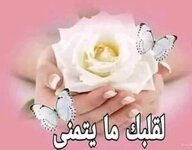 1696596668181.jpeg 1696596668181.jpeg