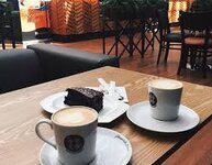 IMG_7197.jpeg IMG_7197.jpeg