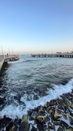 IMG_7832.jpeg