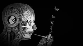 1697954471669.png 1697954471669.png