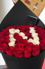IMG_٢٠٢٣١٠٢٨_١٤١١٣٤.jpg