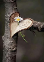 1698786735934.png 1698786735934.png