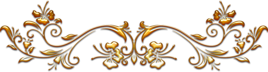 24.png 24.png