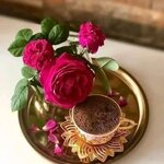 1698780185082.jpg 1698780185082.jpg