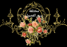 ٢٠٢٣١١١٠_١٧١٥٢٩.gif ٢٠٢٣١١١٠_١٧١٥٢٩.gif