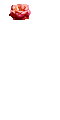 2862096530.gif 2862096530.gif