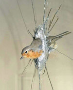 IMG_2230.jpeg IMG_2230.jpeg