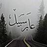 عابر سبيل